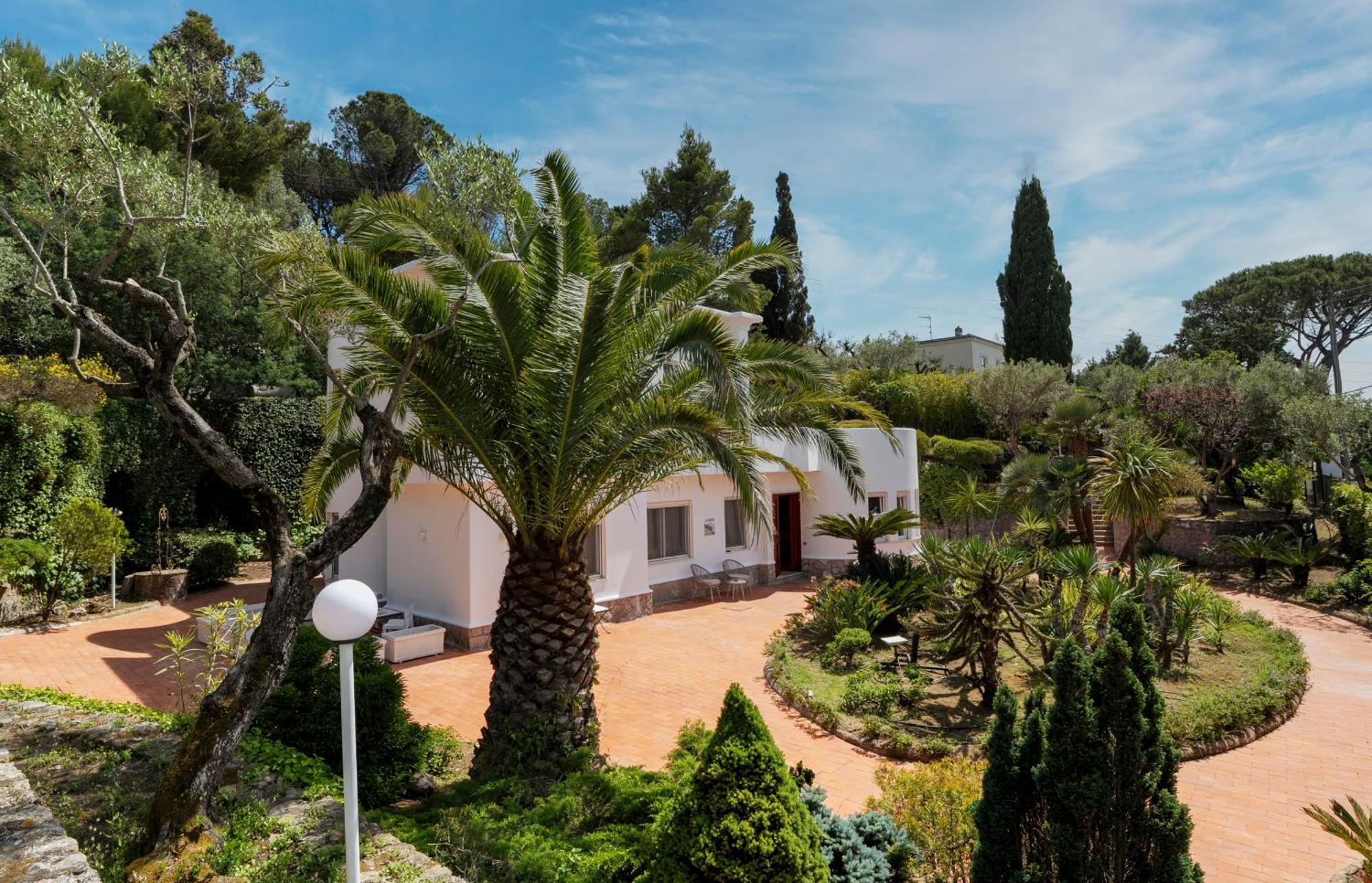 Villa Donna Carolina Capri Anacapri  Eksteriør bilde